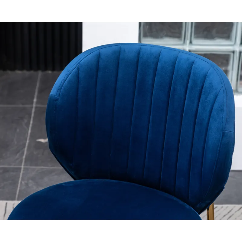 Amoa - Contemporary Velvet Upholstery Dining Chair - Blue