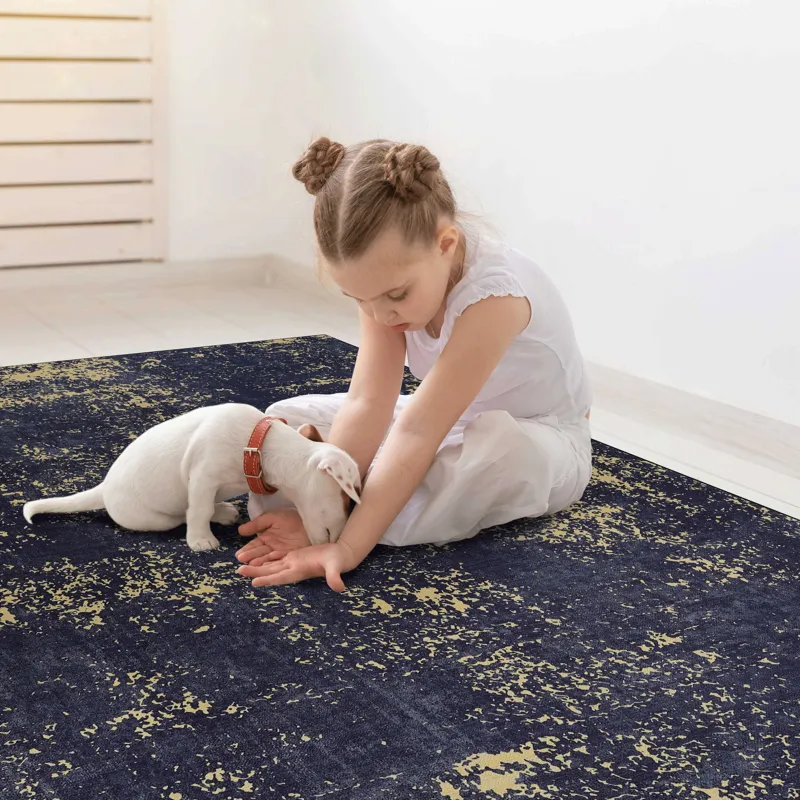 2\'6\'\' X 10\' Area Rugs, Washable Rug, Low-Pile, Non-Slip, Non-Shedding, Foldable, Kid & Pet Frien