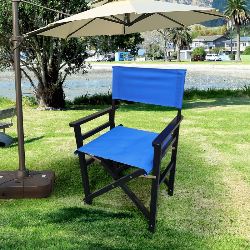 Folding Director Chair Canvas (Set of 2) - Blue