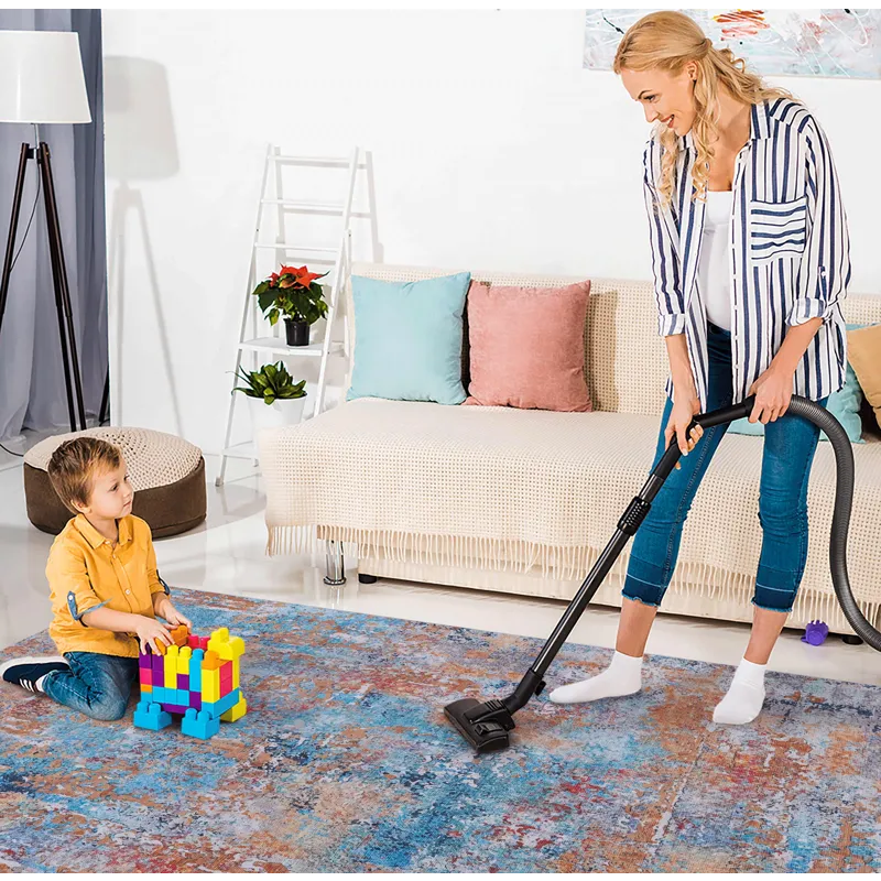 2\' x 3\' Machine Washable Area Rugs, Low-Pile, Non-Slip, Non-Shedding, Foldable, Kid & Pet Friendly