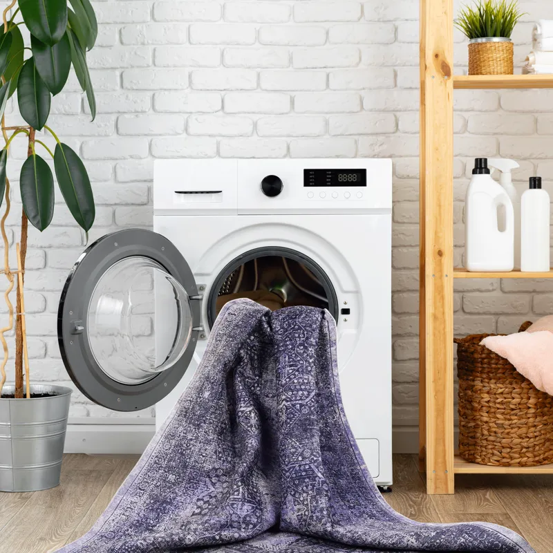 2\' x 3\' Machine Washable Area Rugs, Low-Pile, Non-Slip, Non-Shedding, Foldable, Kid & Pet Friendly