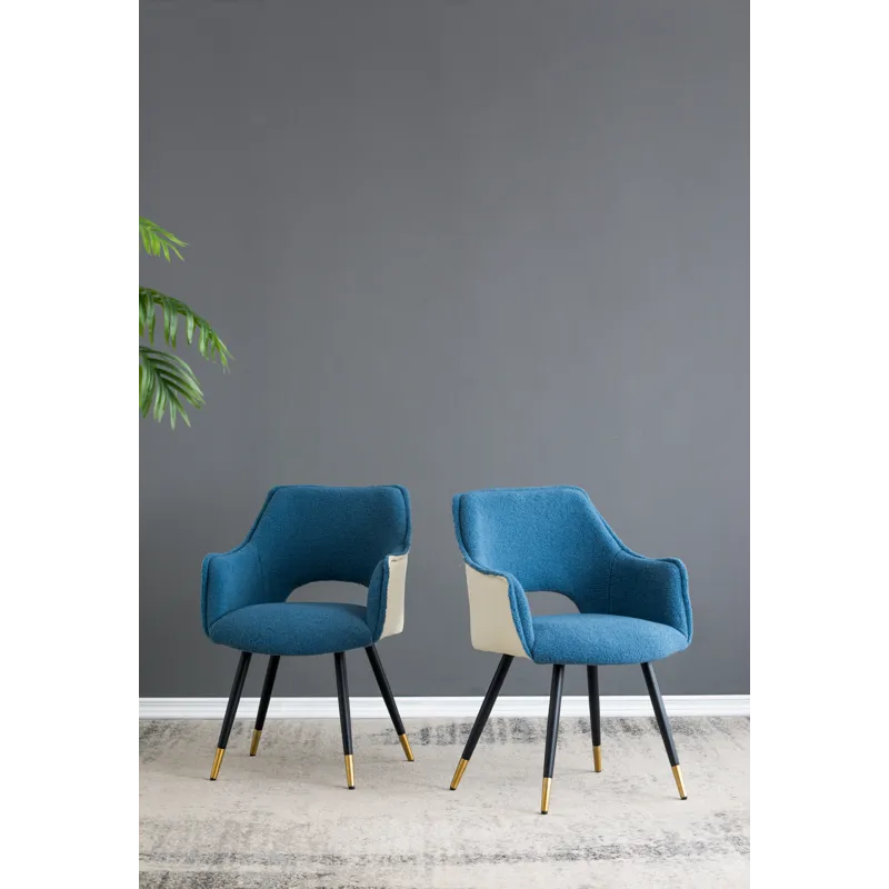 Fabric Side Chair, Living Room Bedroom Kitchen Vanity Accent Chair (Set of 2) - Blue
