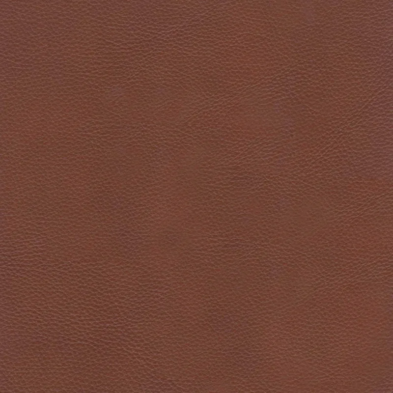 Aiden - Leather Chair - Brown