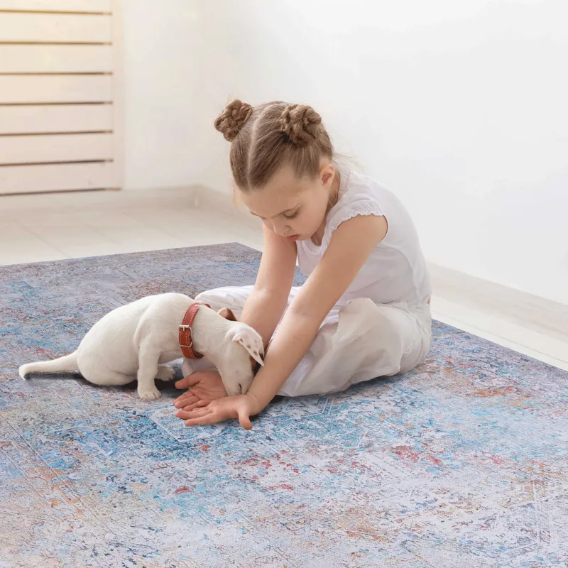 2\' x 3\' Machine Washable Area Rugs, Low-Pile, Non-Slip, Non-Shedding, Foldable, Kid & Pet Friendly