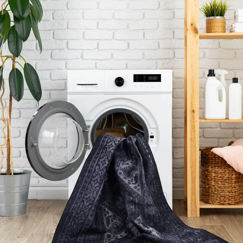 2\'6\'\' X 10\' Area Rugs, Washable Rug, Low-Pile, Non-Slip, Non-Shedding, Foldable, Kid & Pet Frien