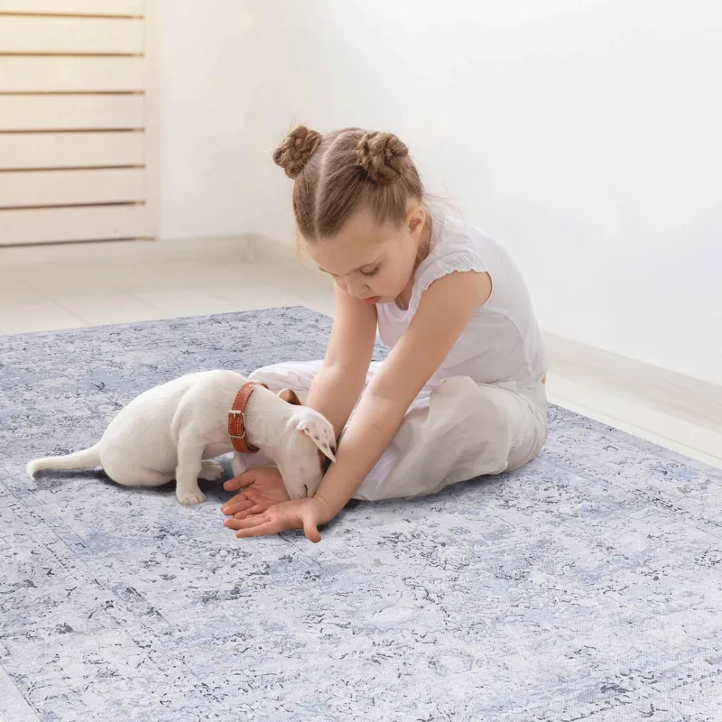 2\' x 3\' Machine Washable Area Rugs, Low-Pile, Non-Slip, Non-Shedding, Foldable, Kid & Pet Friendly