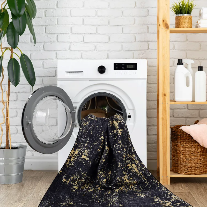 2\'6\'\' X 10\' Area Rugs, Washable Rug, Low-Pile, Non-Slip, Non-Shedding, Foldable, Kid & Pet Frien