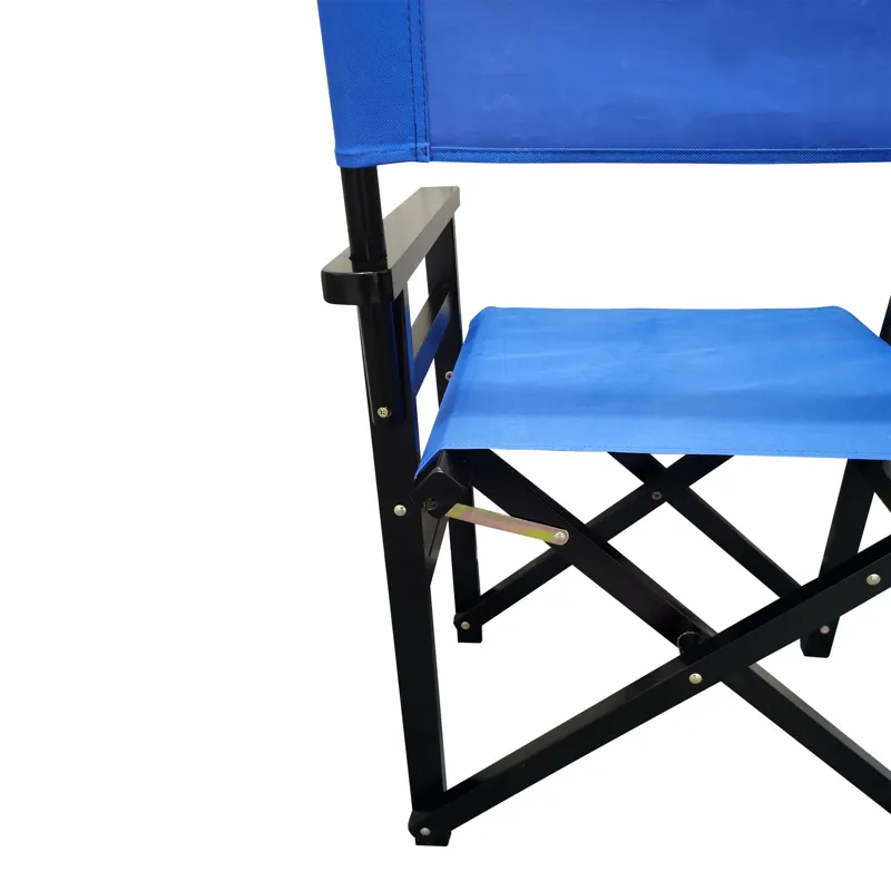 Folding Director Chair Canvas (Set of 2) - Blue