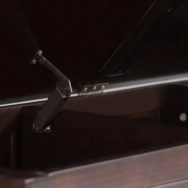 Connaught - Storage Bench Trunk - Dark Chestnut Brown