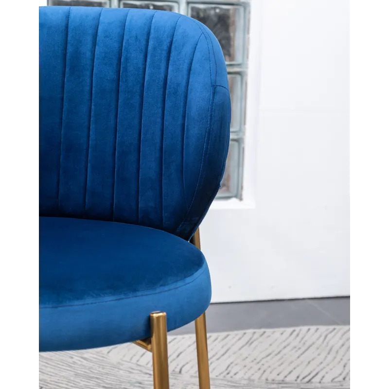 Amoa - Contemporary Velvet Upholstery Dining Chair - Blue
