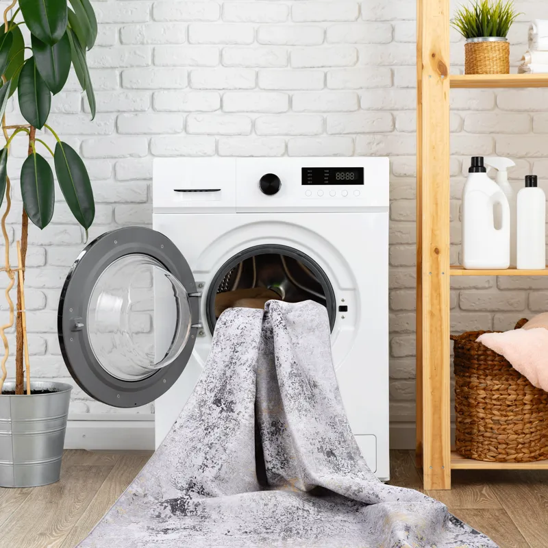 2\'6\'\' X 10\' Area Rugs, Washable Rug, Low-Pile, Non-Slip, Non-Shedding, Foldable, Kid & Pet Frien
