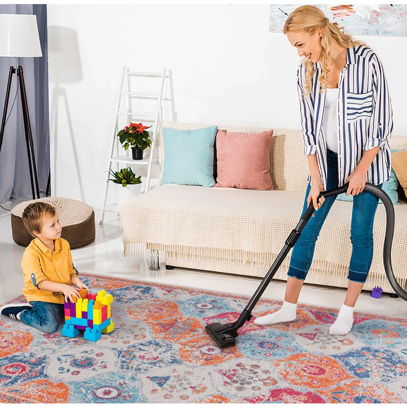 6\' x 9\' Area Rugs, Washable Rug, Low-Pile, Non-Slip, Non-Shedding, Foldable, Kid & Pet Friendly Ar