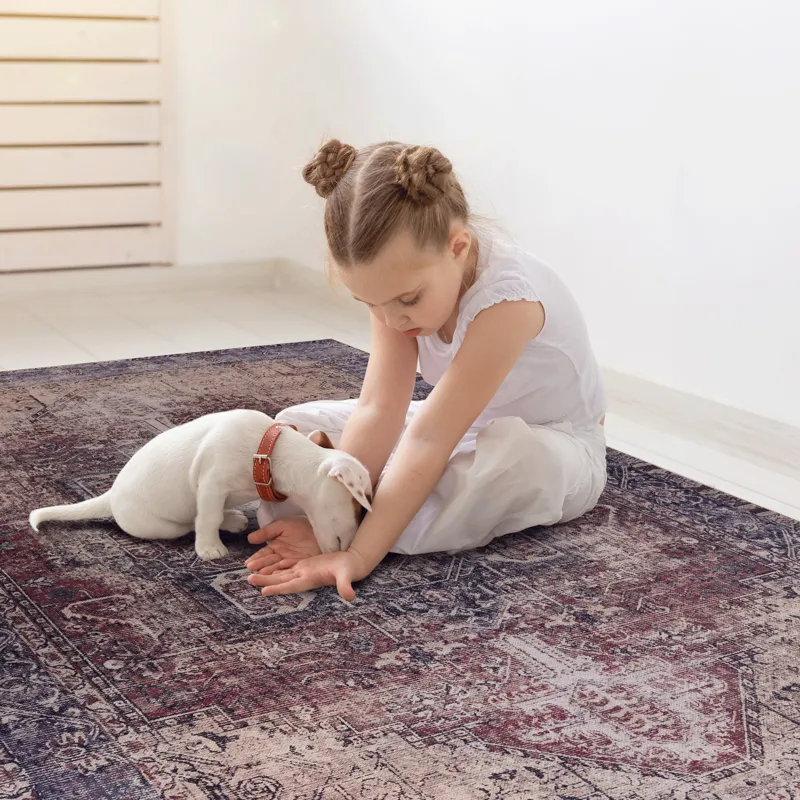 2\' x 3\' Washable Area Rugs, Low-Pile, Non-Slip, Non-Shedding, Foldable, Kid & Pet Friendly Area Ru
