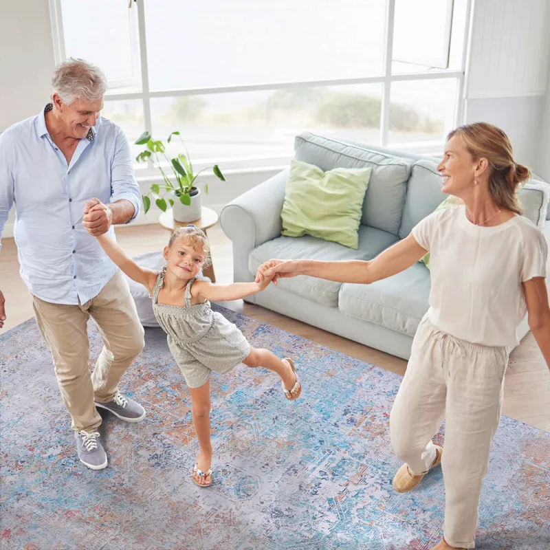 6\' x 9\' Area Rugs, Washable Rug, Low-Pile, Non-Slip, Non-Shedding, Foldable, Kid & Pet Friendly Ar