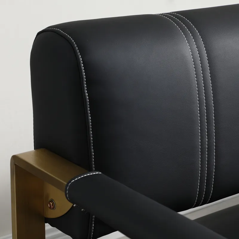 Modern Upholstery Accent Loveseat Sofa For Living Room 2 Seater With Golden Metal Arms - Black