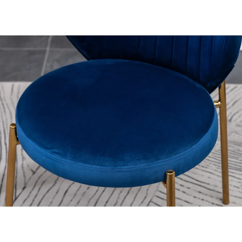 Amoa - Contemporary Velvet Upholstery Dining Chair - Blue