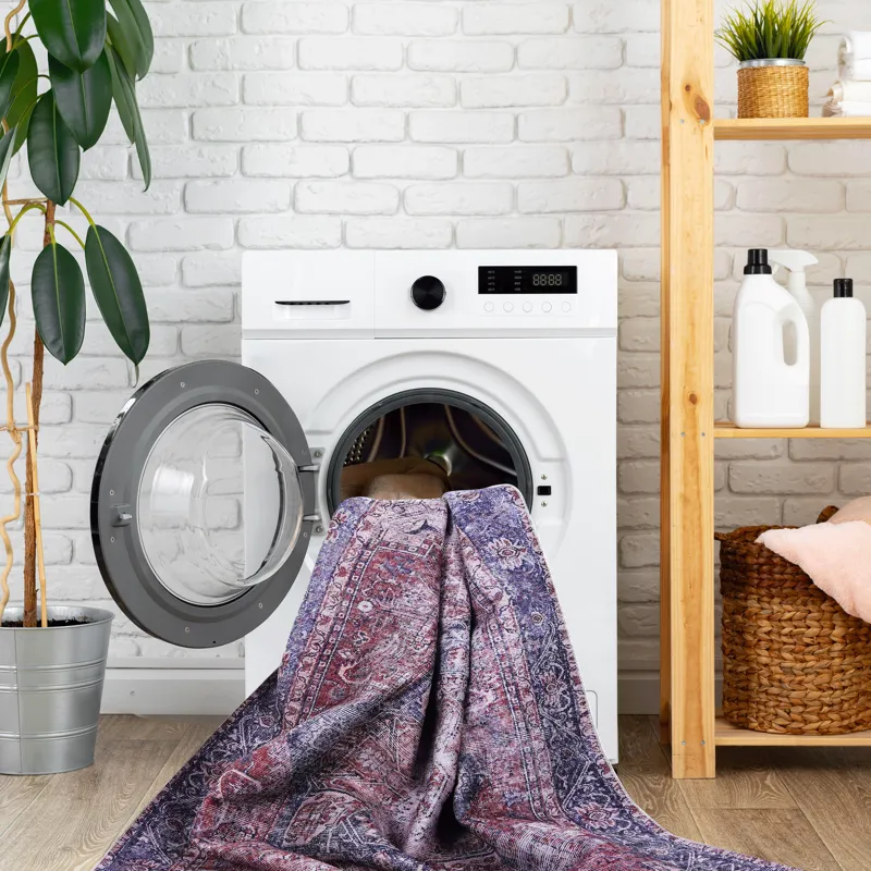 2\' x 3\' Washable Area Rugs, Low-Pile, Non-Slip, Non-Shedding, Foldable, Kid & Pet Friendly Area Ru