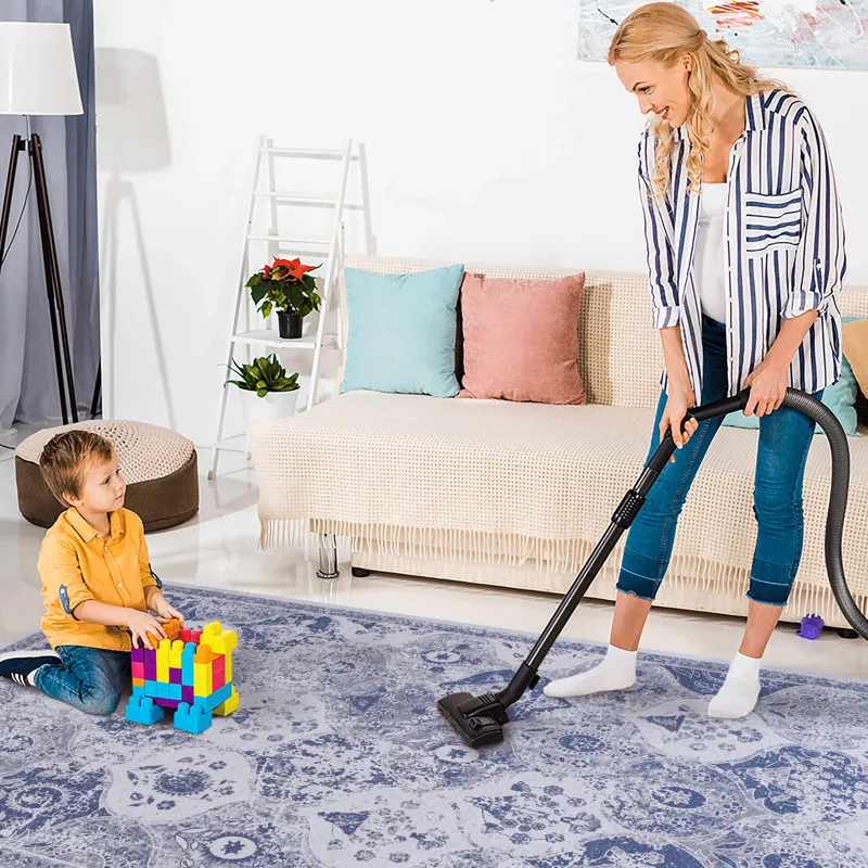 2\'6\'\' x 10\' Area Rug, Washable Rug, Low-Pile, Non-Slip, Non-Shedding, Foldable, Kid & Pet Friend