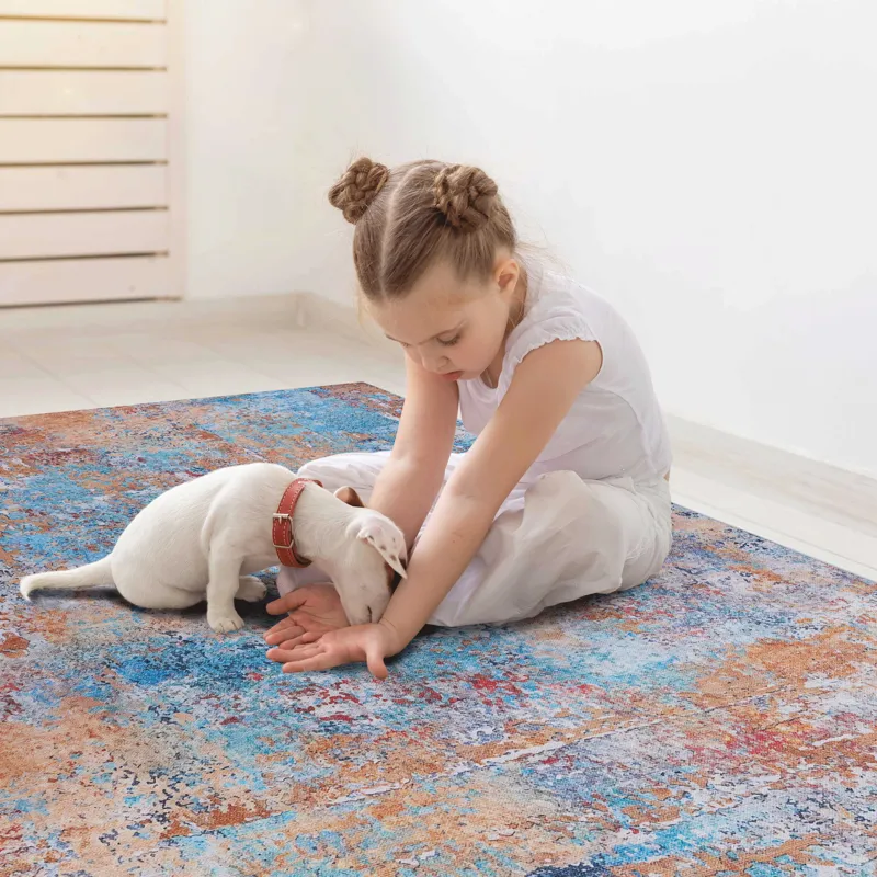 2\' x 3\' Machine Washable Area Rugs, Low-Pile, Non-Slip, Non-Shedding, Foldable, Kid & Pet Friendly