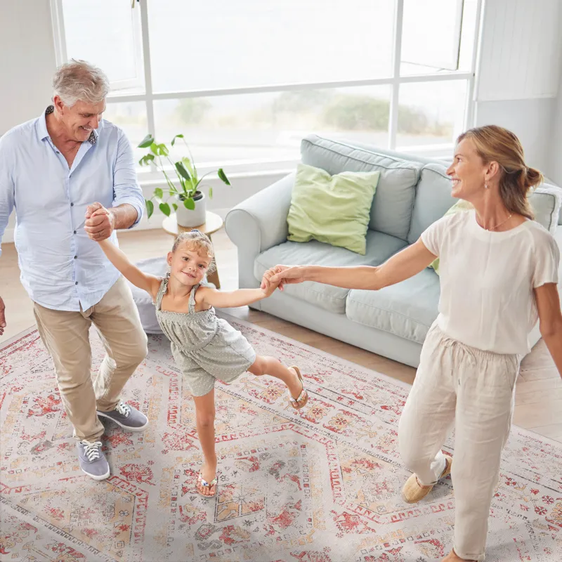 6\' x 9\' Area Rugs, Washable Rug, Low-Pile, Non-Slip, Non-Shedding, Foldable, Kid & Pet Friendly Ar