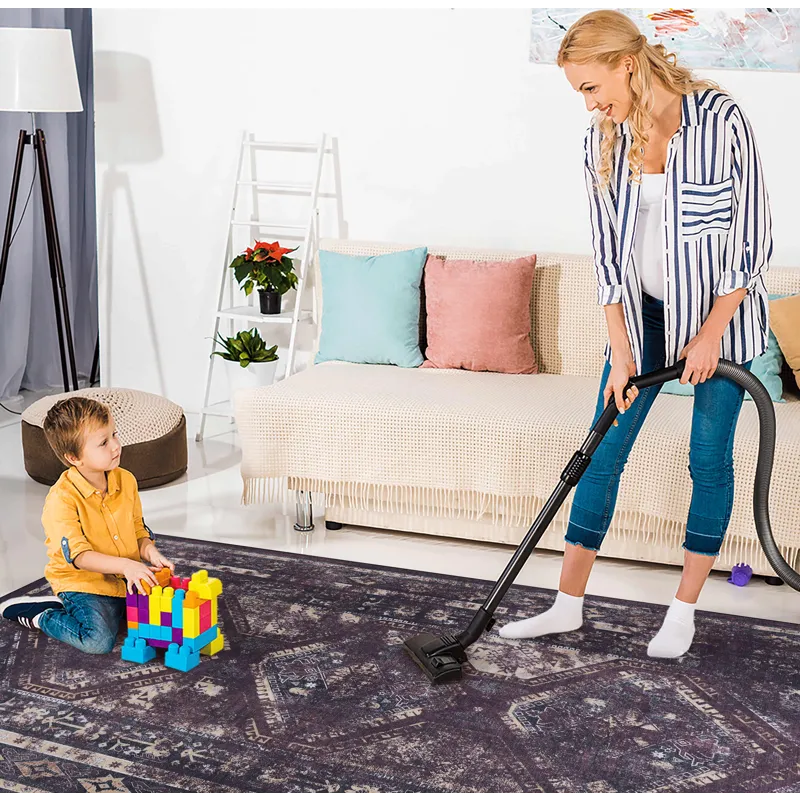 4\' x 6\' Area Rugs, Washable Rug, Low-Pile, Non-Slip, Non-Shedding, Foldable, Kid & Pet Friendly Ar