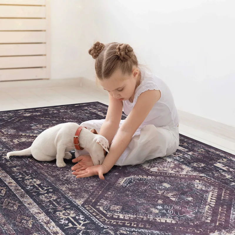 5\' x 8\' Area Rug, Washable Rug, Low-Pile, Non-Slip, Non-Shedding, Foldable, Kid & Pet Friendly Are