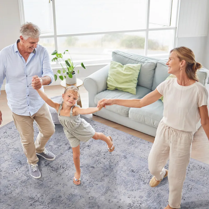 3\' x 5\' Area Rug, Washable Rug, Low-Pile, Non-Slip, Non-Shedding, Foldable, Kid & Pet Friendly Are
