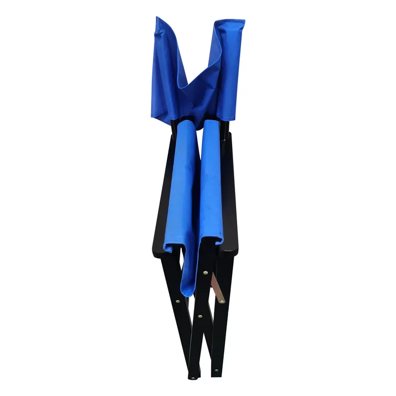 Folding Director Chair Canvas (Set of 2) - Blue