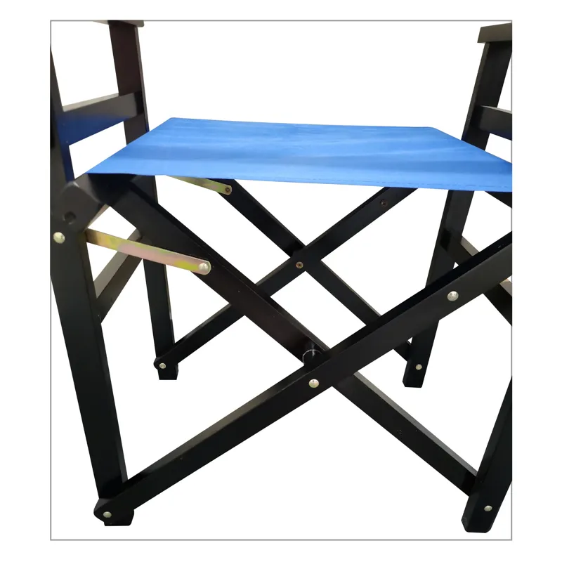 Folding Director Chair Canvas (Set of 2) - Blue