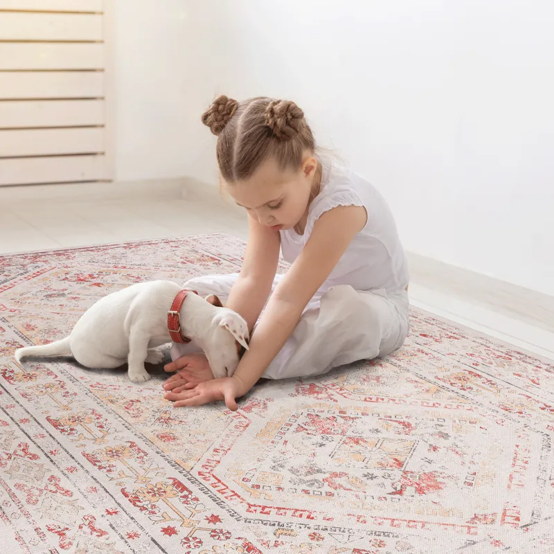 6\' x 9\' Area Rugs, Washable Rug, Low-Pile, Non-Slip, Non-Shedding, Foldable, Kid & Pet Friendly Ar