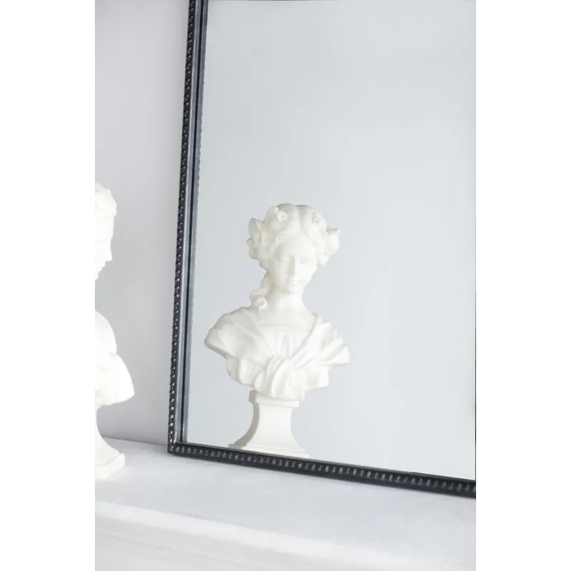 Classic Design Mirror With And Baroque Inspired Frame For Bathroom, Entryway Console Lean Against Wa