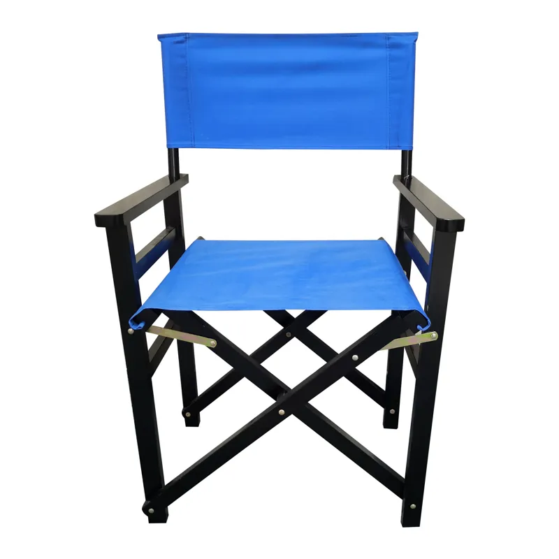 Folding Director Chair Canvas (Set of 2) - Blue
