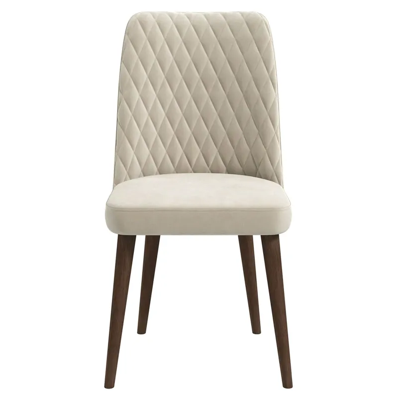 Katie - Mid-Century Modern Velvet Dining Chair (Set of 2) - Multi
