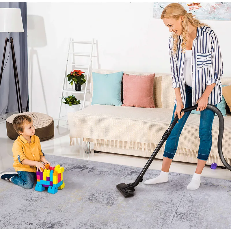2\'6\'\' X 10\' Area Rugs, Washable Rug, Low-Pile, Non-Slip, Non-Shedding, Foldable, Kid & Pet Frien