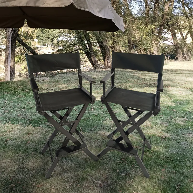 Casual Home Director\'s Chair, Foldable Style, Suitable For Adults (Set of 2) - Black