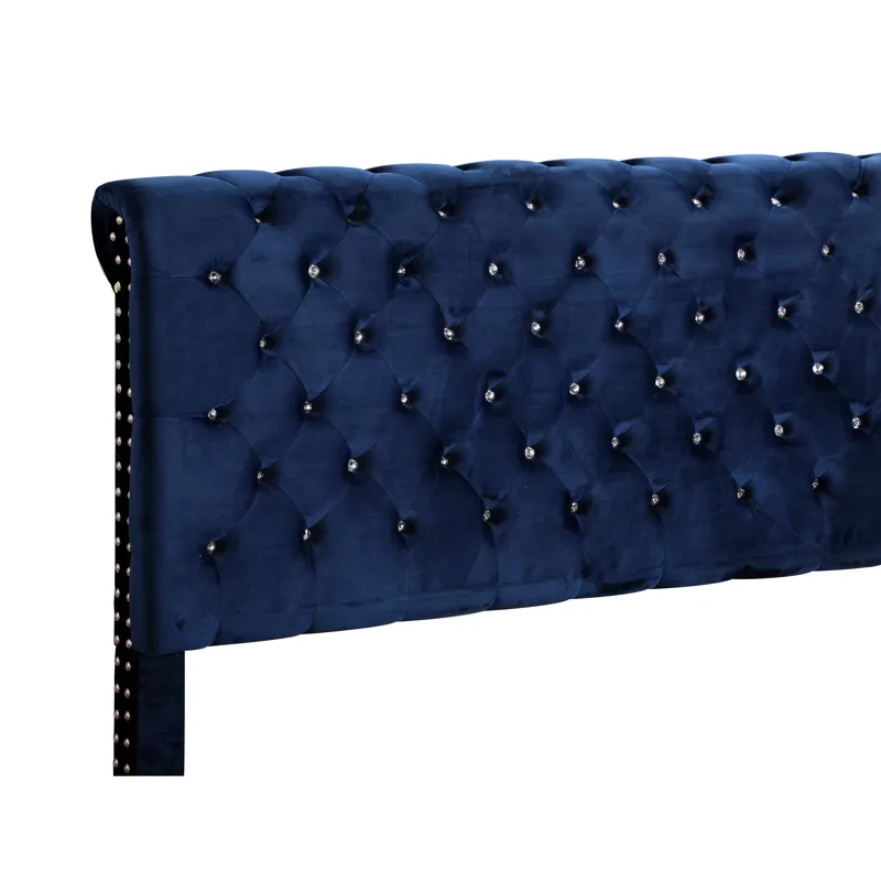 Maxx - G1943-FB-UP Tufted Upholstered Bed - Navy Blue