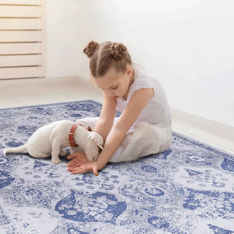 5\' x 8\' Washable Rug, Low-Pile, Non-Slip, Non-Shedding, Foldable, Kid & Pet Friendly Area Rugs For