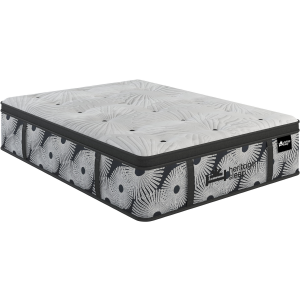 Duke Plush Euro Pillow Top Mattress