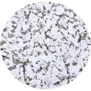 Sperre 18" Accent Table with Alaska White Marble