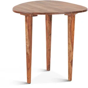 Salem 23" Side Table in Natural Sheesham Wood
