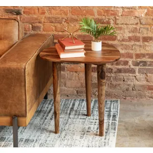 Salem 23" Side Table in Natural Sheesham Wood