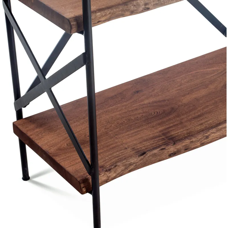 Organic Forge 34" Tall Bookshelf in Raw Walnut