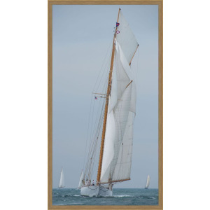Whites Sails