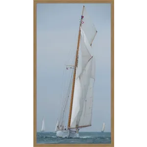 Whites Sails
