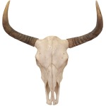 Bull Skull Wall Décor