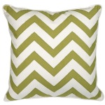 Essentials Green Apple Pillow