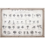 Botanical Wall Décor