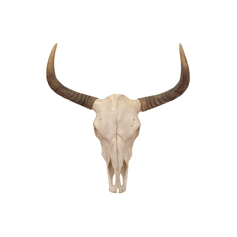 Bull Skull Wall Décor
