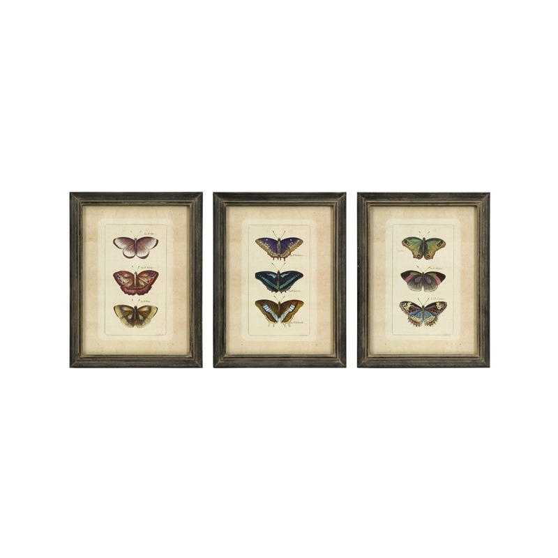 Butterfly Collection Wall Art - Set of 3