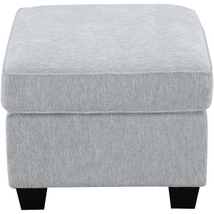 Stationary Upholstery Ashbury Ottoman